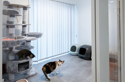 施工実績 02 内観 1